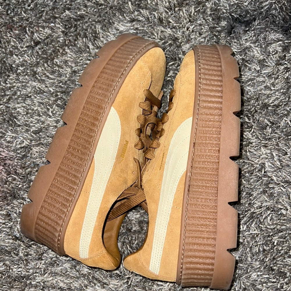 Puma cleared creeper